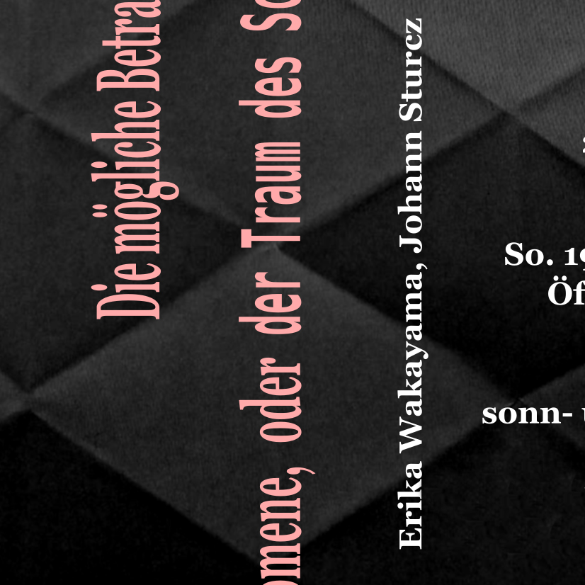 Die mögliche Betrachtung möglicher Phänomene, oder der Traum des Schmetterlings